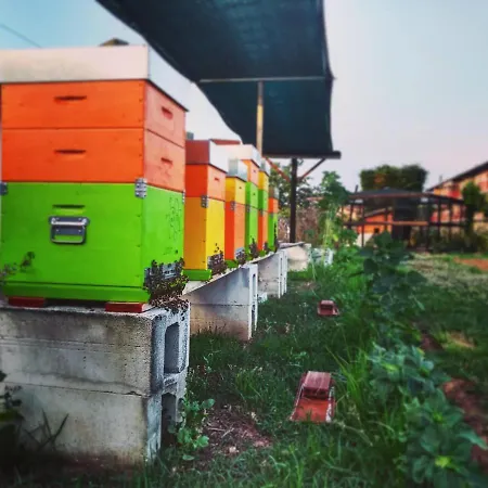 La Lumaca Nel Pozzo Bed & Breakfast 3*