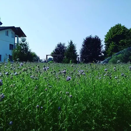 La Lumaca Nel Pozzo Candiolo