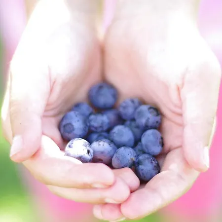 La Lumaca Nel Pozzo 3*