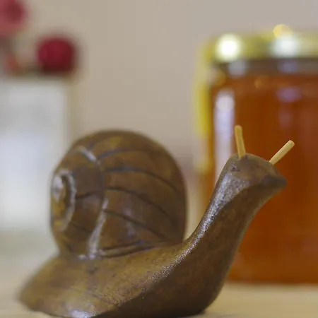 Bed & Breakfast La Lumaca Nel Pozzo 3*