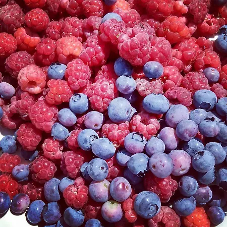 La Lumaca Nel Pozzo Bed & Breakfast