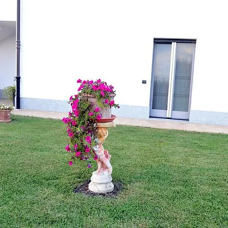 La Lumaca Nel Pozzo