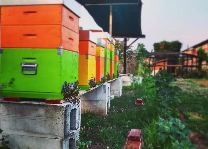 La Lumaca Nel Pozzo Panzió 3*