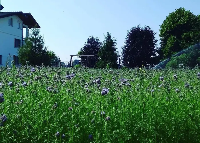 La Lumaca Nel Pozzo Candiolo