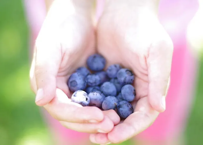 La Lumaca Nel Pozzo 3*