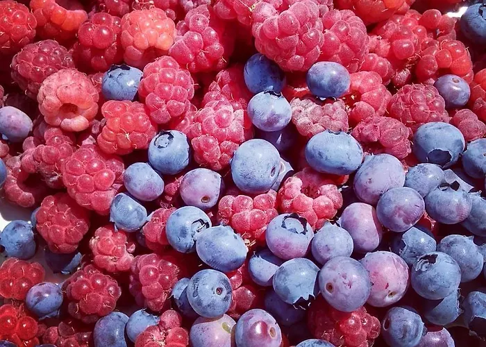 La Lumaca Nel Pozzo Panzió